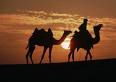 Safari a dorso di cammello